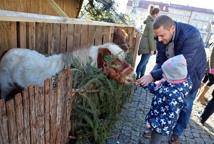 Poświęcenie brzeskiej szopki bożonarodzeniowej