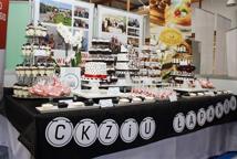 CKZiU Łapanów w Festiwalu Zawodów w Krakowie