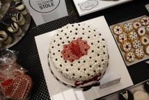 CKZiU Łapanów w Festiwalu Zawodów w Krakowie