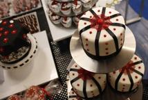 CKZiU Łapanów w Festiwalu Zawodów w Krakowie