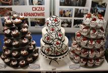 CKZiU Łapanów w Festiwalu Zawodów w Krakowie