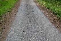 Sezon w Puszczy rozpoczęty