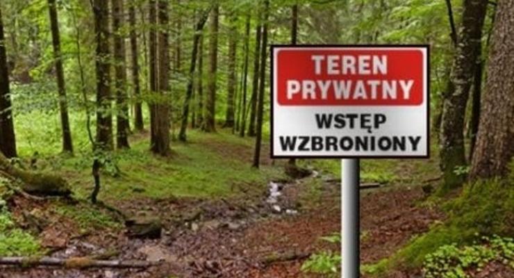 Będą zbierać podpisy w obronie polskich lasów