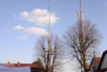 Lipnica-kto jaką palmę zaprezentował?