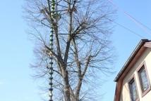 Lipnica-kto jaką palmę zaprezentował?