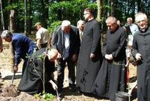 "Las Małopolskiej Solidarności"