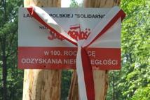 "Las Małopolskiej Solidarności"