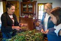 Winnica w Łazach pobiła rekord