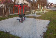 Zielone siłownie – komu służą, ile nas kosztowały?
