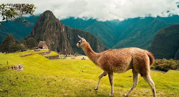 Wyprawa do Peru jako atrakcyjny pomysł na spędzenie naszych wakacji