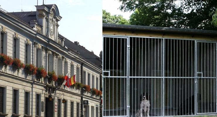 Schroniska w Bochni nie będzie – aktywiści nie składają jednak broni
