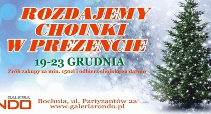 Galeria Rondo rozdaje choinki!