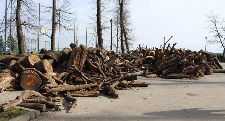 160 kubików drewna zalega na Uzborni