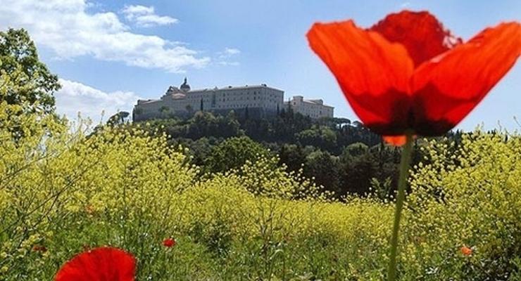 „Czerwone Maki na Monte Cassino” wrócą do Polski!