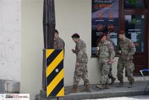 Lipnickie palmy i US Army