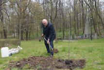 Akcja "Drzewo dla klimatu" w powiecie bocheńskim