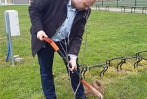 Akcja "Drzewo dla klimatu" w powiecie bocheńskim