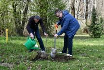 Akcja "Drzewo dla klimatu" w powiecie bocheńskim