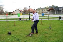 Akcja "Drzewo dla klimatu" w powiecie bocheńskim