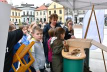 Ekologiczny Piknik Edukacyjny w Bochni