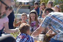 Kulturalne wydarzenia na bocheńskim Rynku - zmysłowe warsztaty i występy cyrkowe