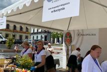 Bochnianie zasmakowali w Festiwalu Smaku