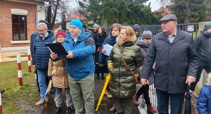 Które drzewa wyciąć na Plantach - specjalista wyjaśnia
