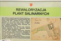 Które drzewa wyciąć na Plantach - specjalista wyjaśnia