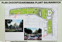Które drzewa wyciąć na Plantach - specjalista wyjaśnia