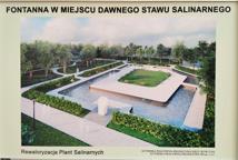 Które drzewa wyciąć na Plantach - specjalista wyjaśnia