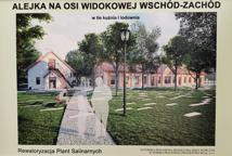 Które drzewa wyciąć na Plantach - specjalista wyjaśnia