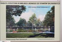 Które drzewa wyciąć na Plantach - specjalista wyjaśnia