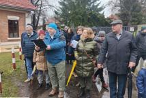 Które drzewa wyciąć na Plantach - specjalista wyjaśnia