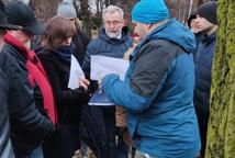 Które drzewa wyciąć na Plantach - specjalista wyjaśnia