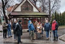 Które drzewa wyciąć na Plantach - specjalista wyjaśnia