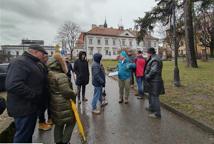 Które drzewa wyciąć na Plantach - specjalista wyjaśnia