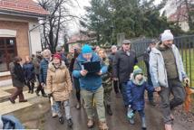 Które drzewa wyciąć na Plantach - specjalista wyjaśnia
