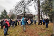 Które drzewa wyciąć na Plantach - specjalista wyjaśnia