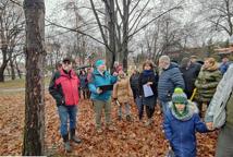 Które drzewa wyciąć na Plantach - specjalista wyjaśnia