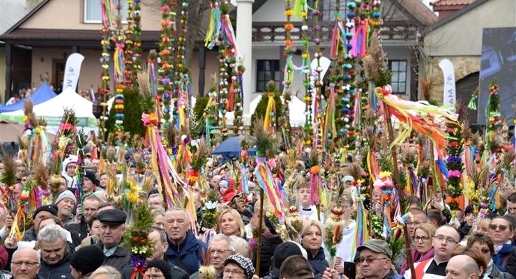 Kto wygrał w konkursie palm?