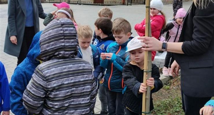 Przedszkolaki z Nowego Wiśnicza posadziły drzewo