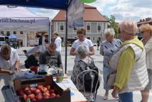 Dzień zdrowia na Rynku. Oddano ponad 10 litrów krwi