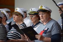 Za nami Święto Bocheńskich Organizacji Pozarządowych. Piknik na Uzborni