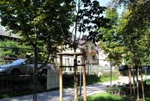 Rewitalizacja Plant dobiega końca - co zrobiono?