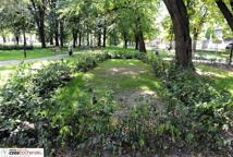 Rewitalizacja Plant dobiega końca - co zrobiono?