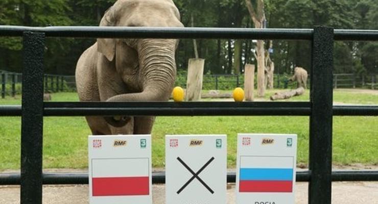 Euro 2012: wygramy z Rosją!?