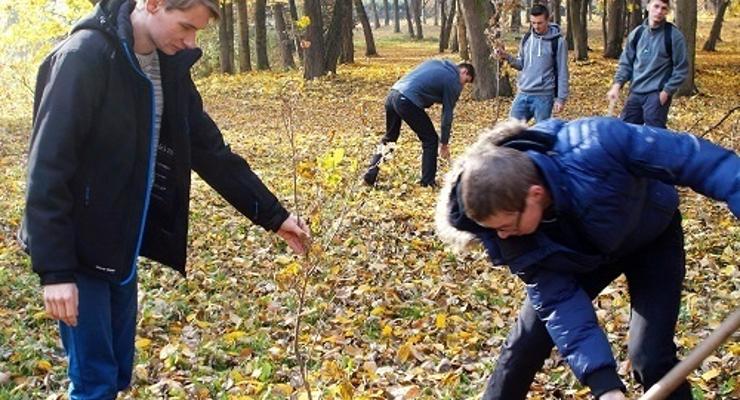 5 dębów w 5. rocznicę powstania Klubu Logistyki