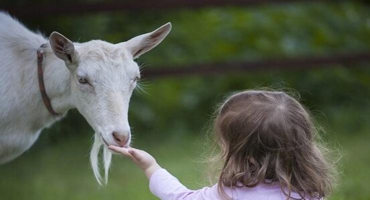 Zagrody edukacyjne alternatywą dla rolników?