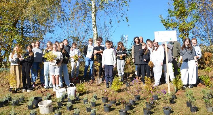 W Lipnicy ratują pszczoły