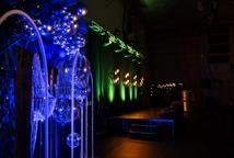 Cezary Pazura w Łapczycy - zobacz jak obchodzono Gminny Dzień Kobiet?